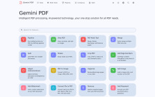 Gemini PDF