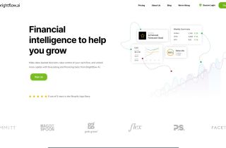 Brightflow AI
