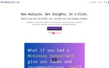 NeoAnalyst.AI