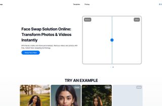 Face Swap Solution Online