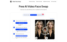 Video Face Swap