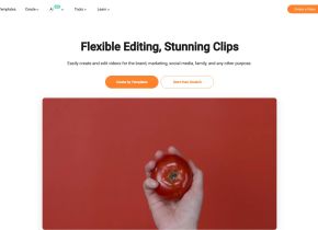 FlexClip