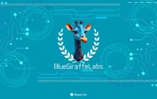 BlueGiraffeLabs