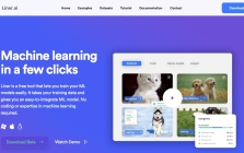Liner.ai
