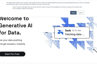 Seek AI