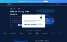 SERP API