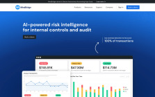 MindBridge AI