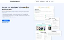 GetWebsite.Report