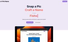 Pic A Pet Name