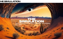 The Simulation