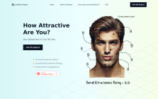 LooksMaxx Report