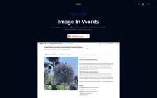 Image In Words