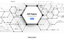 API Fabric