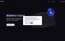 Bberry Copilot