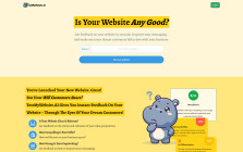 TestMyWebsite.AI