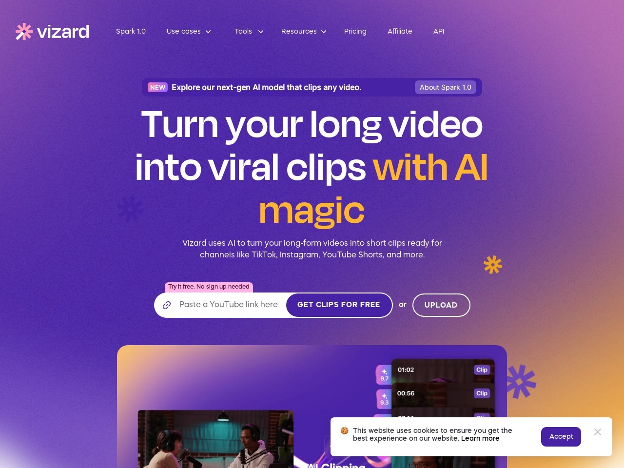 Vizard