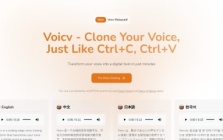 Voicv