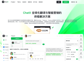 ChatX翻译