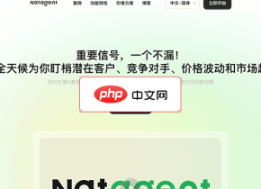 NatAgent