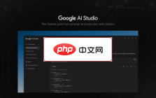 Google AI Studio