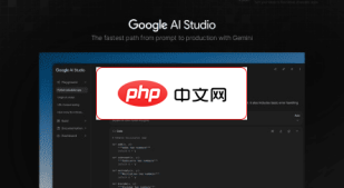 Google AI Studio