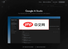 Google AI Studio