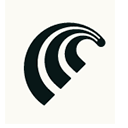 Comet Browser