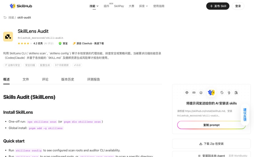 SkillLens Audit截图