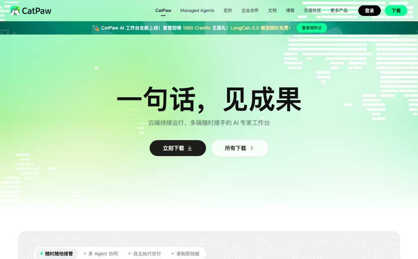 CatPaw截图