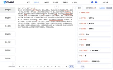 讯飞智检