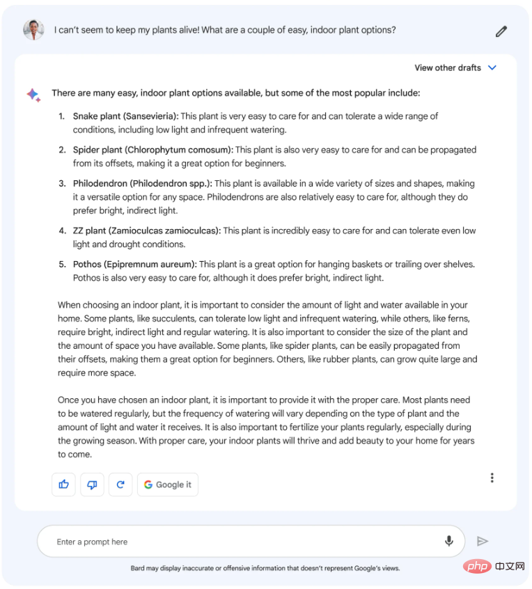 ChatGPT接招：谷歌正式开放Bard AI聊天机器人供用户测试