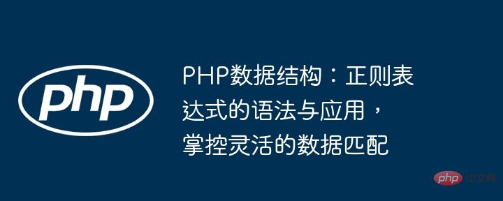 PHP データ構造: 正規表現の構文と適用、柔軟なデータ マッチングの制御