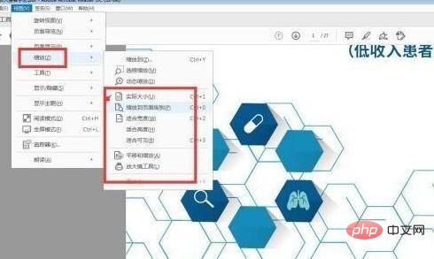 Adobe Acrobat Reader DC怎么设置重排 Adobe Acrobat Reader DC设置重排的方法