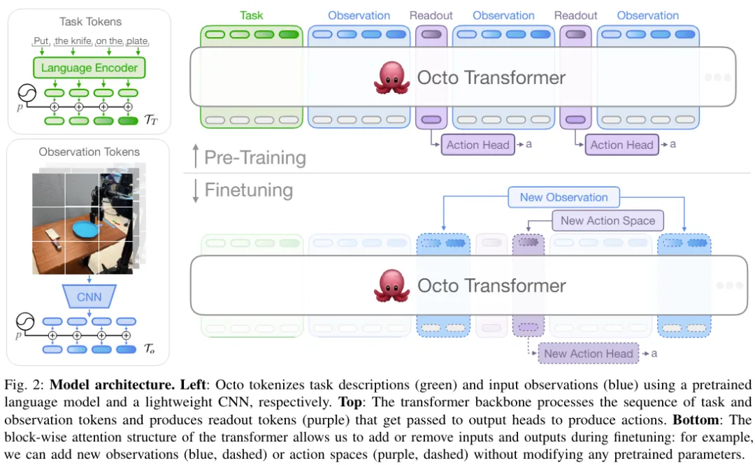 Adapting to multiple forms and tasks, the most powerful open source robot learning system Octopus was born