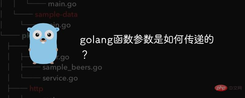 How are golang function parameters passed?