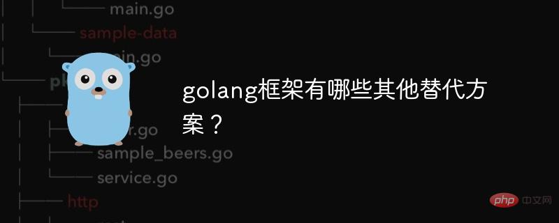 What are the other alternatives to golang framework?