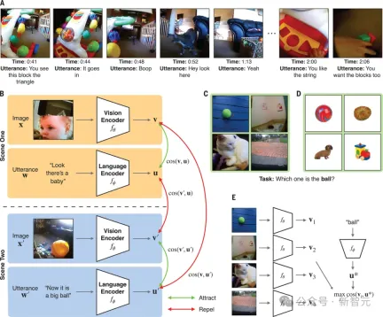 An American professor used his 2-year-old daughter to train an AI model to appear in Science! Human cubs use head-mounted cameras to train new AI