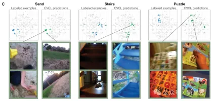 An American professor used his 2-year-old daughter to train an AI model to appear in Science! Human cubs use head-mounted cameras to train new AI