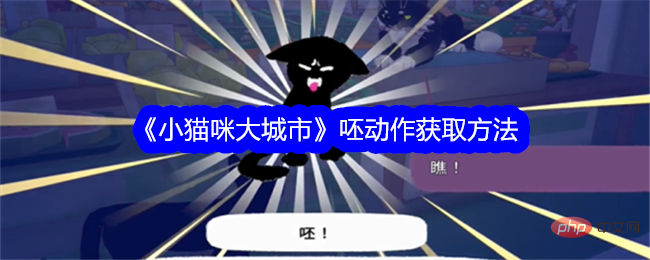 Kitty City에서 액션을 취하는 방법