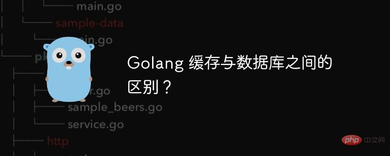 Golang 缓存与数据库之间的区别？