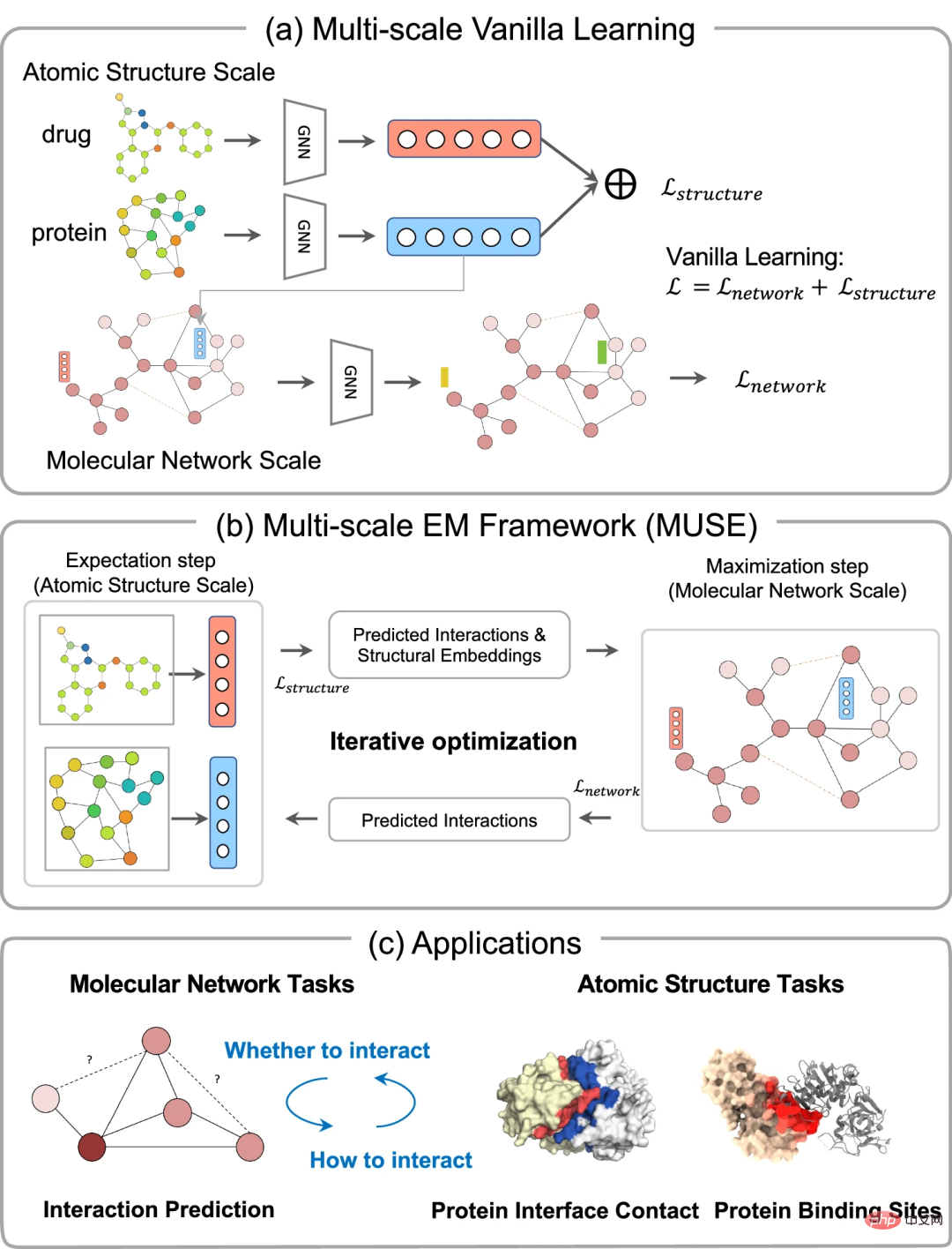 SOTA performance, multi-scale learning, Sun Yat-sen University proposes protein-drug interaction AI framework