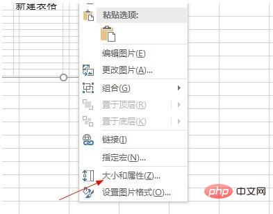 Microsoft Excel 2020怎么设置图片格式 Microsoft Excel 2020设置图片格式的方法