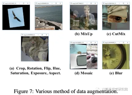The whole process of deploying yolov to iPhone or terminal practice