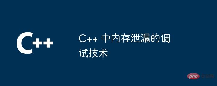 C++ 中内存泄漏的调试技术