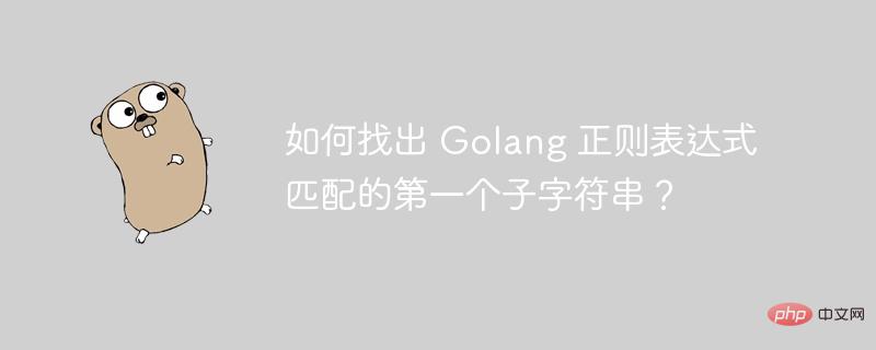 如何找出 Golang 正则表达式匹配的第一个子字符串？