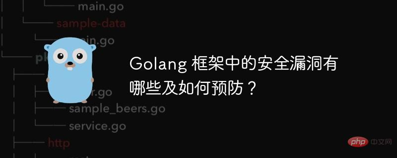 Golang 框架中的安全漏洞有哪些及如何预防？