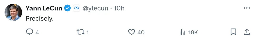 Yann LeCun:ViT慢且效率低,实时图像处理还得看卷积