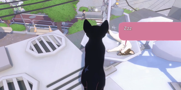 How to get the kittens fast nap action in the big city