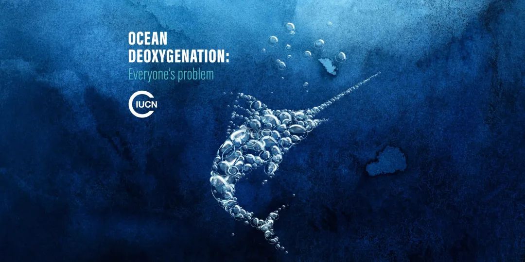 Revealing 100 years of global ocean deoxygenation, Shanghai Jiao Tong University uses artificial intelligence to reconstruct the suffocating ocean, ICML has included