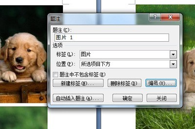 How to automatically number pictures in Word_This function can help you